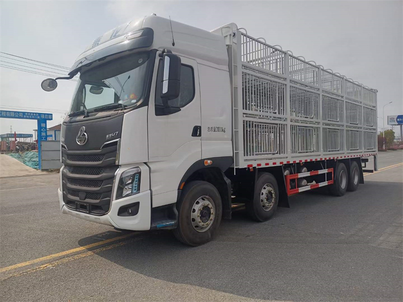 柳汽乘龍前四后八運豬車